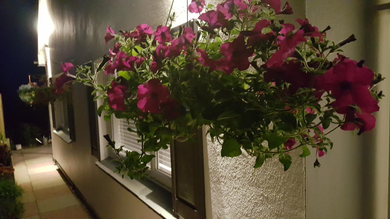 فيلا Marthys House With Hot Tub لوي المظهر الخارجي الصورة